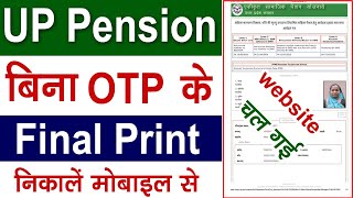 SSPY final print kaise nikale  UP pension final print problem  pension ka final print kaise nikale [upl. by Eliathas374]