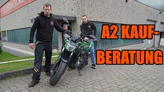 Die BESTEN Motorräder für den A2 Führerschein [upl. by Anitsahs]