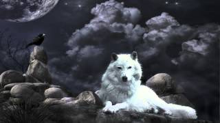 Klaus Schulze  Wolfs Ponticelli [upl. by Llener]