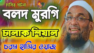 বলদ মুরগি চালাক শিয়াল।। চরম হাসির ওয়াজ maulana nasir uddin juktibadi gopalganj full waz 2024 [upl. by Sonny]