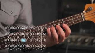 How to Play C ♯  D Flat Major Scale  Bass Guitar [upl. by Haliek]