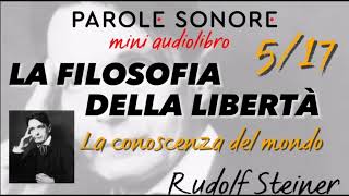 Rudolf Steiner  MINI AUDIOLIBRO 517  LA FILOSOFIA DELLA LIBERTA  Parole Sonore [upl. by Drawde944]