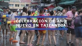 Inician los festejos del Año Nuevo en Tailandia [upl. by Ellehciram]