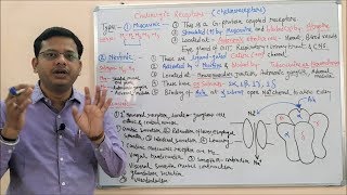 Cholinergic Drugs Part 02  Muscarinic amp Nicotinic Receptors  Cholinergic Receptors  Cholinergic [upl. by Amby]