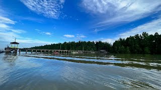 Wetlands for livelihoods local communities thrive by protecting mangroves and peatlands in Borneo [upl. by Azilanna]