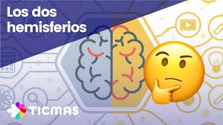 Partes del CEREBRO Hemisferios lóbulos y materia gris [upl. by Nairde]