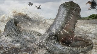 A Giant Extinct Caiman  Purussaurus [upl. by Ehsom]