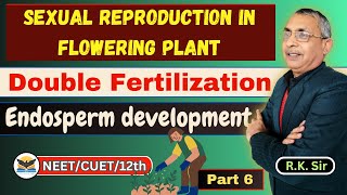 Double Fertilization  Endosperm Development  Sexual Reproduction in Flower  RK Sir [upl. by Imeaj]