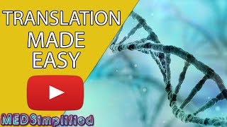 DNA Translation Made Easy [upl. by Okikuy]