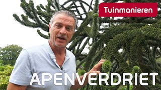 Apenverdriet  Tuinieren  Tuinmanieren [upl. by Piselli]