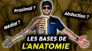 Introduction à l’anatomie  Tout ce que vous devez savoir [upl. by Gervais984]