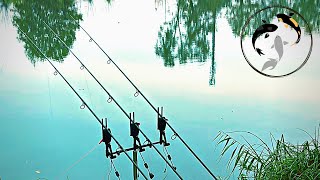 Carpfishing Fiume Mincio1 [upl. by Olivero]