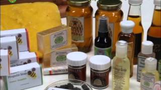 Stingless Bee Production amp Product Processing Part 1 [upl. by Conroy]