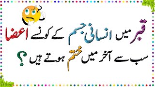 Amazing Facts About Human Body  Paheliyan In Urdu With Answer  Urdu Riddles  3 [upl. by Filler888]