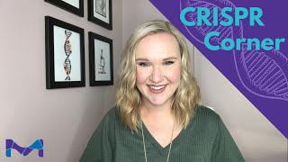 CRISPR Corner 🧬 Episode 3  How is DNA repaired after CRISPR cutting [upl. by Engracia]