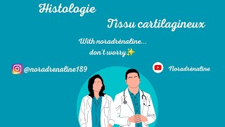 tissu cartilagineux histologie 1ère année medecine et medecine dentaire [upl. by Enoob]