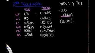 Tercera declinación parte I [upl. by Irby]