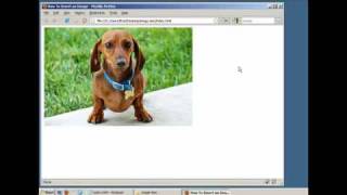 How to Insert an Image in a Webpage HTML  XHTML [upl. by Narod]