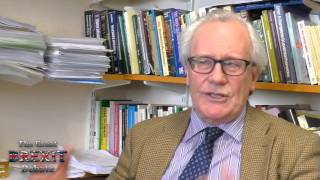 Professor Patrick Minford Full Interview [upl. by Fernald698]