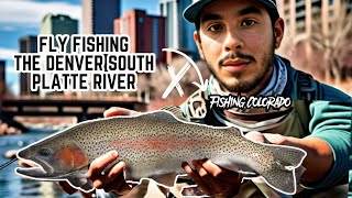 Fly Fishing the Denver South Platte River 2024 [upl. by Amsaj734]