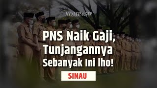 Tahun 2024 PNS Naik Gaji Ternyata Tunjangannya Segini  SINAU [upl. by Tichonn]