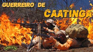 GUERREIRO DE CAATINGA  CANÇÕES DE TFM [upl. by Atsirtal]