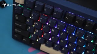 VGN S99 Wireless Mechanical Keyboard Review [upl. by Kella809]