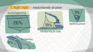 Årsaker til rømming av fisk [upl. by Namso]