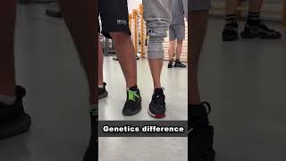 Ectomorph VS Mesomorph Genetics [upl. by Remas26]