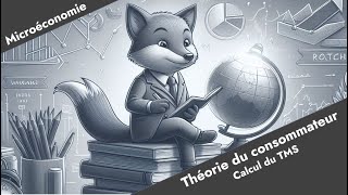 Microéconomie  Le taux marginal de substitution TMS Théorie du consommateur 4 [upl. by Leonie]