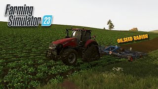 PLANTING OILSEED RADISH amp HOW TO HARVEST IT  FARMING SIMULATOR 23 NEUBRUNN [upl. by Goldie960]