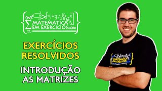 Exercícios Resolvidos  Matrizes introdução  Prof Gui [upl. by Anilyx]