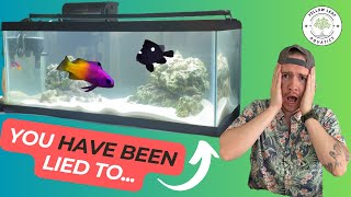 BUILDING Your Own PIECE Of The OCEAN  Saltwater Aquarium Setup for Beginners [upl. by Egoreg]