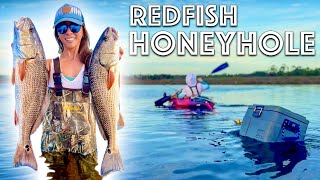 The MOST EFFECTIVE WAY to Catch Wintertime REDFISH 50 fish day [upl. by Latsyrhk]