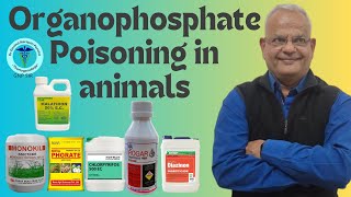 Understanding Organophosphate Malathion Rogar Monocrotophos Poisoning In Animals with GNP Sir [upl. by Htevi]