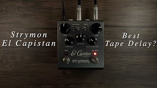 Why the STRYMON VOLANTE is the BEST delay pedal on the market [upl. by Antonina960]