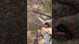 Fatwood Trick fatwood bushcraft survival [upl. by Aelahc892]