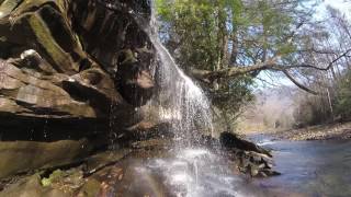 Fly Fishing in Bergoo West Virginia [upl. by Assin706]