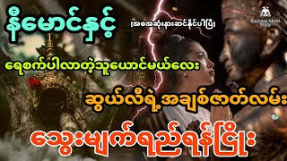 နီမောင်နှင့် ရေစက်ပါလာတဲ့သူယောင်မယ်မလေးဆွယ်လီရဲ့အချစ်ဇာတ်လမ်း အစအဆုံး [upl. by Eireva]