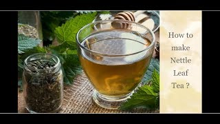 HOW TO MAKE NETTLE TEA NETTLE TEA RECIPE FOR KIDNEY HEALTH [upl. by Paver]