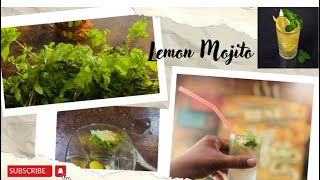 Lemon Mojito 🍋🍸 Homemade Style  How to make Mojito at home🏡viraltrendingyoutubedrinkmojito [upl. by Boeschen]