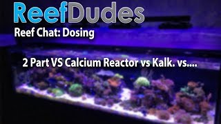 Saltwater Dosing 2 Part vs Calcium Reactor vs Kalk vs All about dosing your marine aquarium [upl. by Shina]