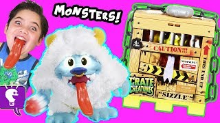 CRATE CREATURES Toy Review and GAME PLAY with Fuzzy MONSTERS by HobbyKidsTV [upl. by Ieso571]