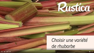 Choisir une variété de rhubarbe [upl. by Darach592]