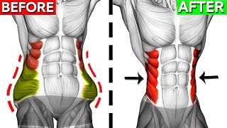 Dont Miss These 10 Perfect Oblique Exercises 🎯 [upl. by Enyt]