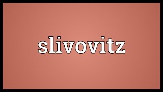 Slivovitz Meaning [upl. by Yalonda]