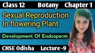 Development Of Endosperm Sexual Reproduction In Flowering Plant Lecture 9 CHSE Odisha [upl. by Eerahc]