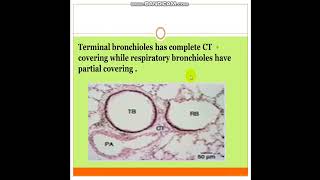 BronchiolitisSmallairwaydisorders [upl. by Arutak988]