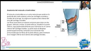 Musculo Cricotiroideo [upl. by Oilegor]