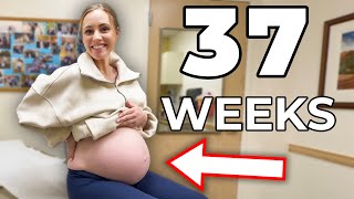 37 WEEK PREGNANCY APPOINTMENT Signs Of Labor [upl. by Suivatal345]